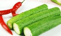 吃瓜小组燃脂,揭秘健康瘦身新潮流