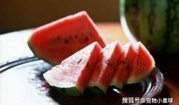 吃田瓜的功效,天然绿色，健康生活新选择