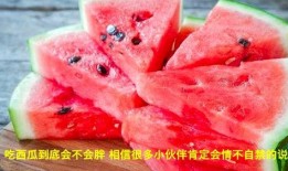 看西瓜吃瓜视频,揭秘夏日消暑神器背后的秘密