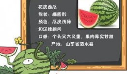 吃瓜看历史故事,吃瓜群众视角下的历史风云录