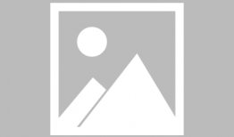 吃瓜只吃实心的图片大全,图片全景展示