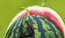 梦见吃瓜吐籽,揭秘吃瓜吐籽的神秘寓意