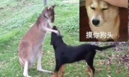 正在吃瓜的李白