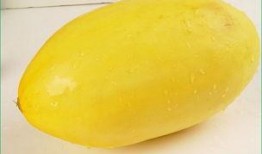 肺炎可以吃咸瓜,传统食补在现代医学中的应用