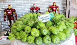 惠城区疫情吃瓜,惠城区疫情下的“吃瓜”众生相