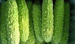 减肥可以吃绞瓜吗,健康美味两不误