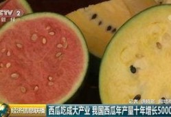 全球吃瓜事件,揭秘网络舆论的狂欢与反思