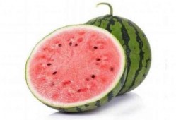 麒麟瓜有小瓜吗怎么吃,麒麟瓜小瓜的多样吃法探索