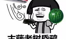 吃瓜行不行,吃瓜群众眼中的娱乐圈风云变幻