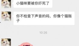 吃瓜 微信聊天,揭秘网络热议背后的真相