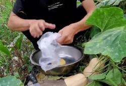 下班回来切点瓜吃,轻松切瓜享受悠闲时光