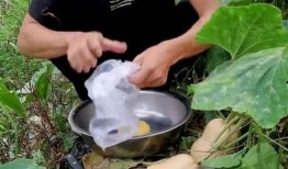 下班回来切点瓜吃,轻松切瓜享受悠闲时光
