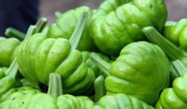 吃瓜姜,揭秘美食背后的故事与传奇