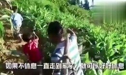 兄弟祈福吃瓜视频,一场别开生面的祈福吃瓜盛宴