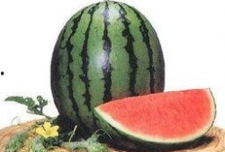 吃瓜系统1,网络热议背后的真相与启示