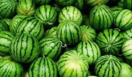 葵酱吃瓜专用群,揭秘娱乐圈幕后故事