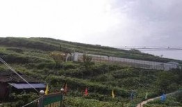 金县吃瓜群众事件,一场网络舆论的风暴与反思