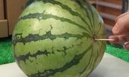 山东新娘的瓜在哪吃,揭秘婚宴上的独特美食体验