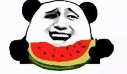 吃瓜姿势,揭秘吃瓜姿势的演变与魅力