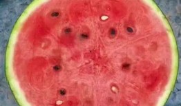 密神吃瓜,揭秘娱乐圈背后的神秘故事