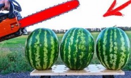 海外吃瓜节目,揭秘明星幕后故事与娱乐圈秘闻