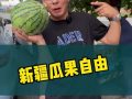 来新疆实现吃瓜自由,畅享“吃瓜自由”的甜蜜之旅
