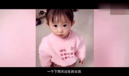 疯癫雨雨吃瓜,揭秘娱乐圈幕后真相