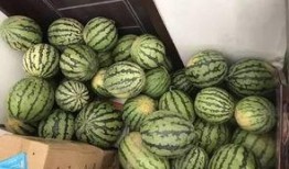 软软吃瓜群,揭秘网络社交圈的趣味与争议