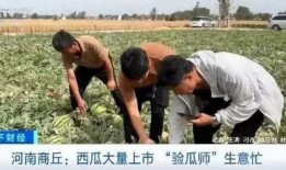 河南商丘吃瓜