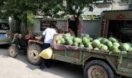 吃瓜祥符区,揭秘网红打卡地的魅力与故事