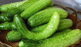 校园吃瓜黄瓜条,黄瓜条成校园新宠