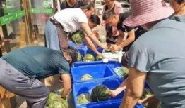 山西吃瓜事件体院,体院风波背后的真相揭秘