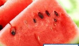 吃了小瓜吃大瓜会胖吗,吃瓜减肥两不误？揭秘吃瓜与体重关系