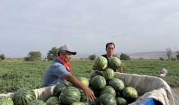 刘月吃瓜,揭秘娱乐圈背后的那些事儿