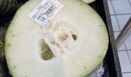 成都吃瓜全集,一场美食与娱乐的狂欢盛宴