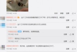吃瓜找猹,探寻“猹”背后的故事
