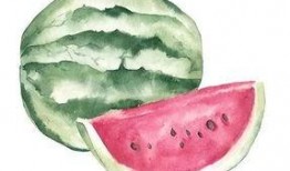 抱着瓜吃图像,品味夏日里的悠闲时光