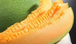 克拉吃瓜识月,揭秘星座运势与生活智慧