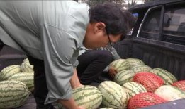 开心市民吃瓜群众,揭秘网络舆论场的众生相