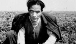 焦裕禄吃瓜,吃瓜为民情，一心为民谋福祉