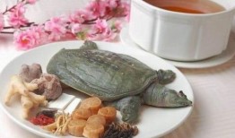 刘大瓜吃大甲鱼,勇闯美食极限