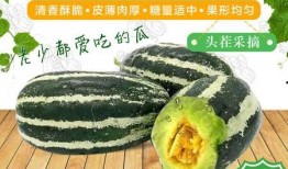 甜瓜脆瓜怎么吃,解锁夏日清新美味