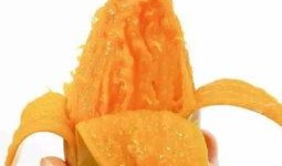 夏芒芒吃瓜,夏芒芒的瓜田奇遇记