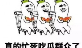 你有没有吃瓜呀,揭秘娱乐圈幕后故事