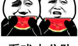 有人追过你吗吃瓜表情包,揭秘明星感情生活