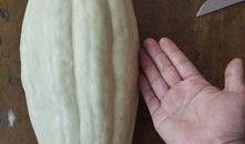 和叶吃瓜,揭秘娱乐圈背后的那些事儿