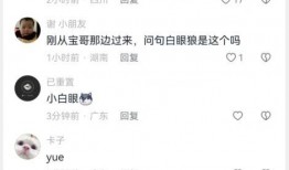 吃瓜群众截图视频