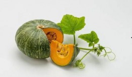 和叶吃瓜,揭秘娱乐圈背后的那些事儿