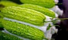 老瓜孕妇可以吃吗,安全与营养两不误