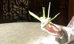 阿翎子吃瓜,揭秘娱乐圈幕后故事